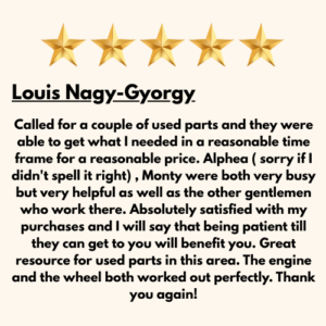 _Louis Nagy-Gyorgy Review